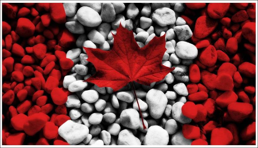 Artsy Picture Of Canada Crazytrending Poster Paper Print