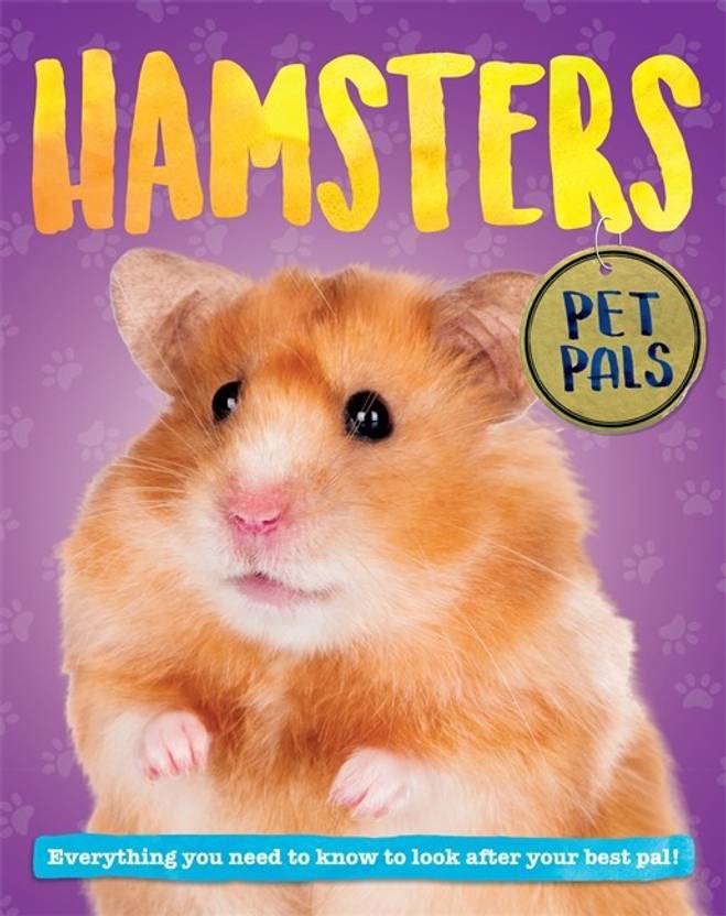 Hamster Pet Price In India - Pet's Gallery
