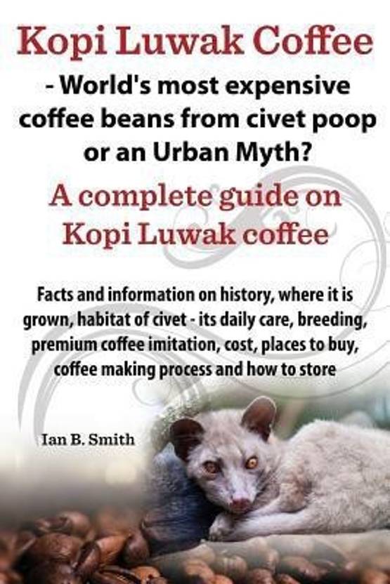 Kopi Luwak Coffee World's Most Expensive Coffee Beans from Civet Poop