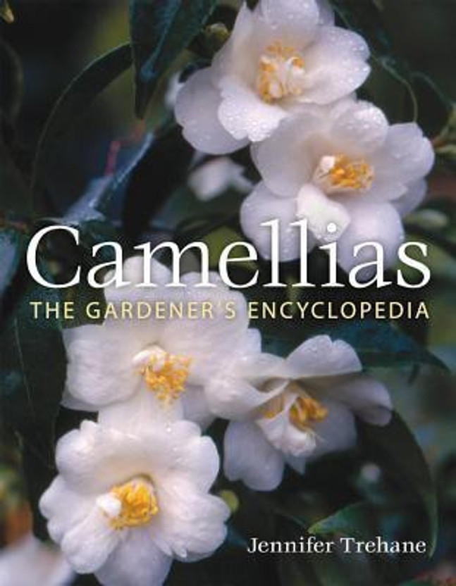 Camellias(English, Hardcover, Trehane Jennifer)