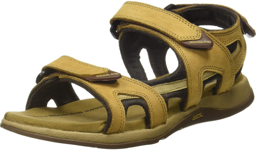 WOODLAND Men Brown Sandals - Buy 