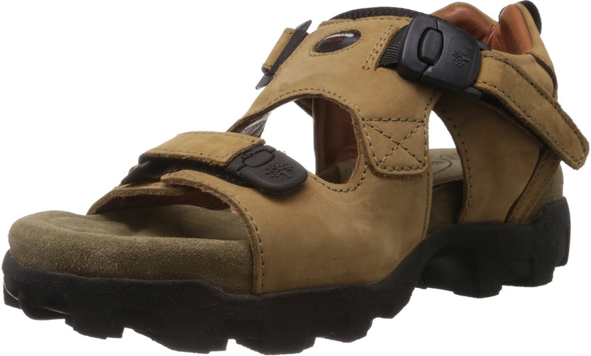 WOODLAND Men Brown Sandals - Buy 