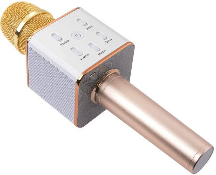 RFV1 KARAOKE MIKE Microphone RFV1