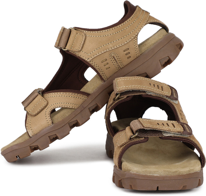 WOODLAND Men Brown, Green Sports 