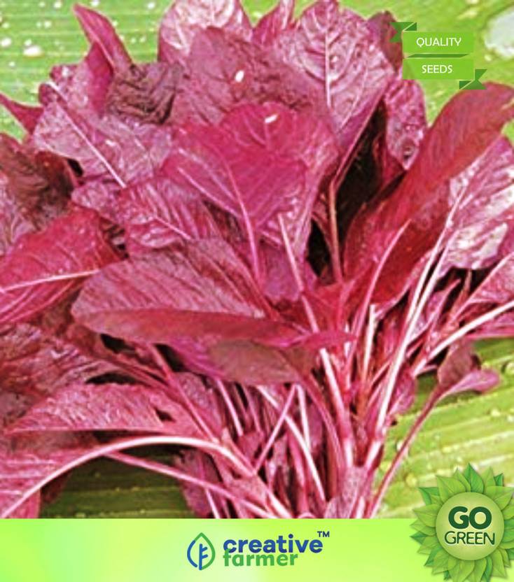 creative farmer Vegetable Seeds Chaulai Saag Seeds Amaranthus(Red