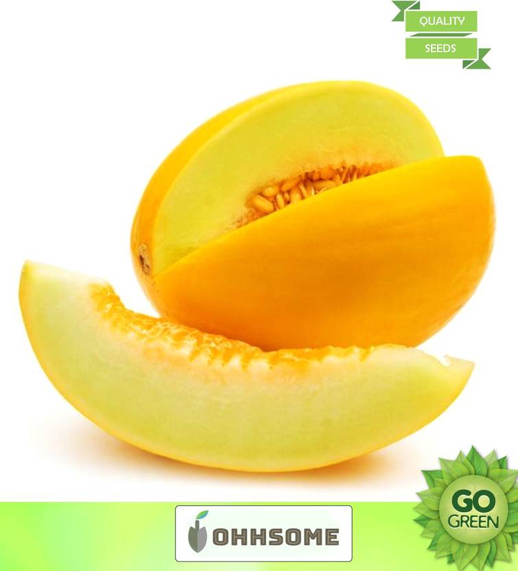 OhhSome Vegetable Seeds Spain Yellow Melon Seeds Yellow Melon Seeds