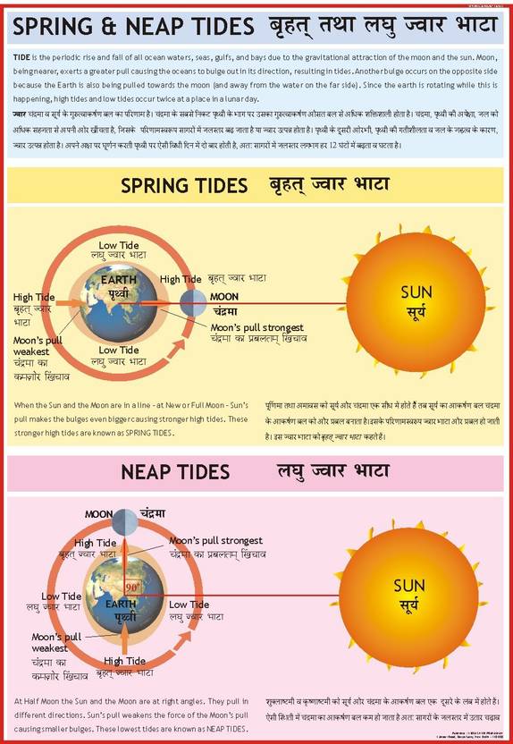Geography charts Spring and Neap Tides Paper Print Educational