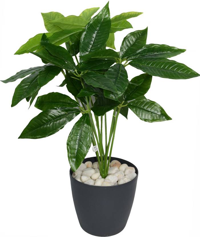 FOURWALLS Miniature PVC Artificial Plant without Pot (10 cm x 10 cm x