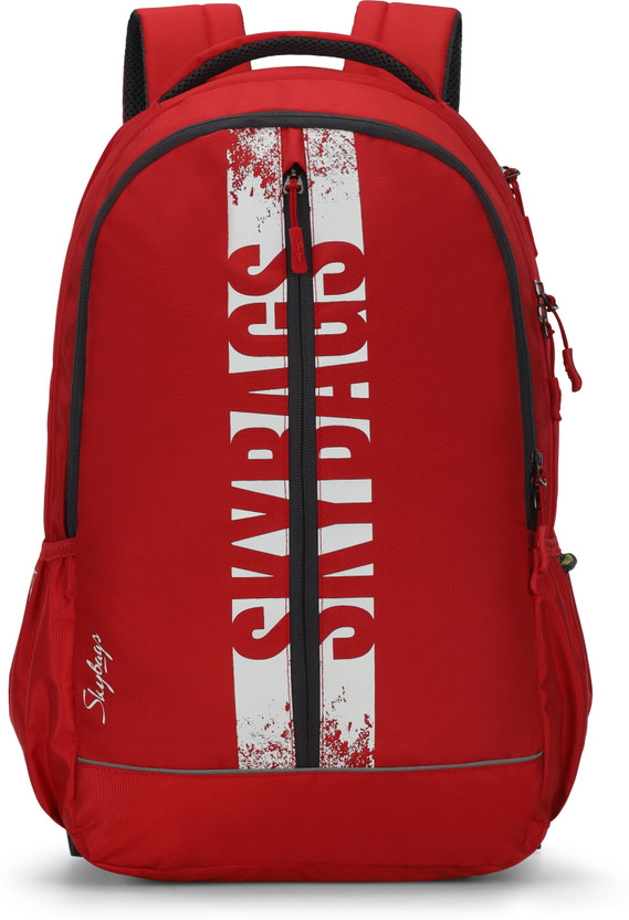 flipkart sky bags