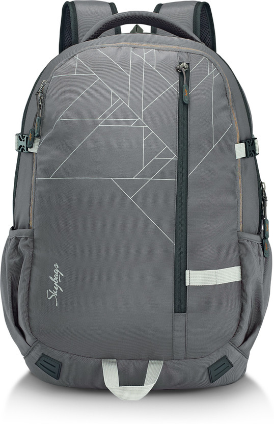 Skybags grey colour