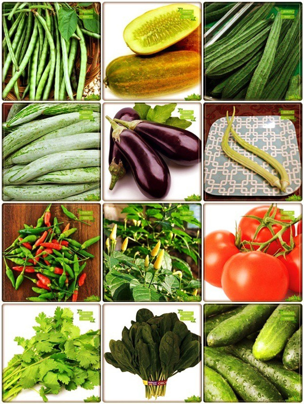 OhhSome Best Price Combo Vegetable Seeds : Cowpea (Anaswara), Cucumber Sambar, Ridgegourd, Snakegourd, Brinjal, Elephent Tusk Okra Seeds Vegetable Seeds, Bird Chilli -Red, Bird Chilli -White, Tomato - Money Maker, Coriander, Palak Cheera, Cuccumber Terrace Gardening Seed(10 per packet)