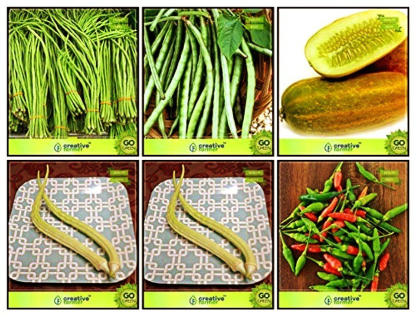 OhhSome OhhSome Seeds And Plants Combo Vegetable Seeds : Cowpea (Vj), Cowpea (Anaswara), Cucumber Sambar, Brinjal, Elephent Tusk Okra Seeds Vegetable Seeds, Bird Chilli -Red Terrace Gardening Seed(10 per packet) - Flipkart Deal