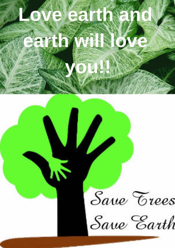SAVE TREES SAVE EARTH Photographic Paper Educational, Nature posters in India Buy art, film