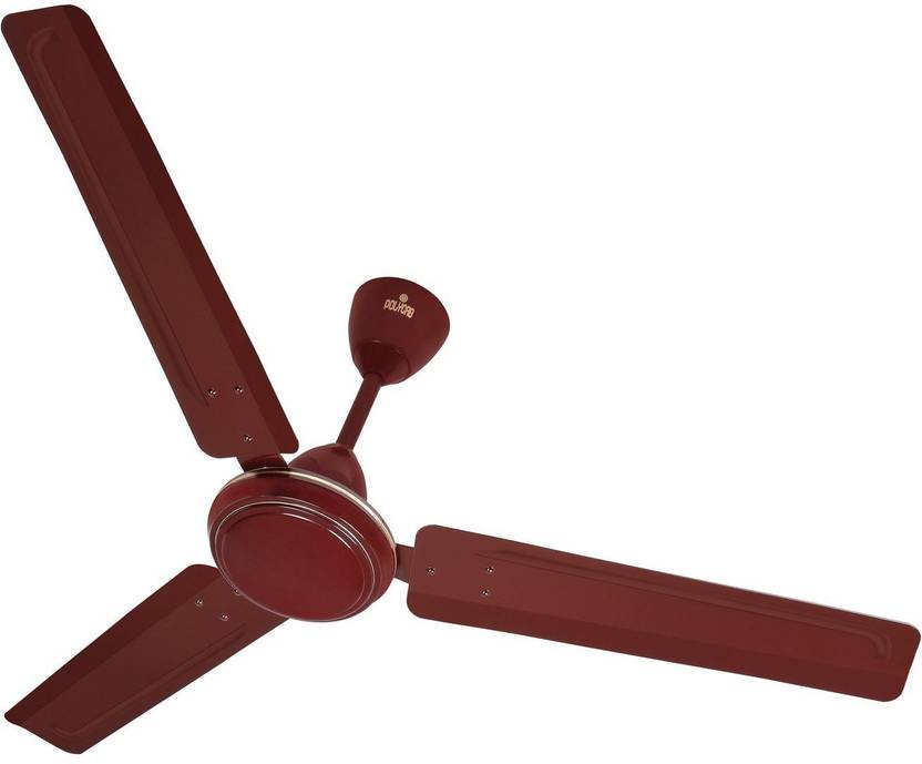 polycab sylphy fan price