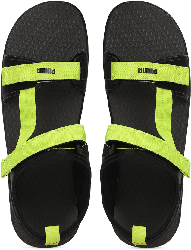 PUMA Hexa Men Black, Green Sports 