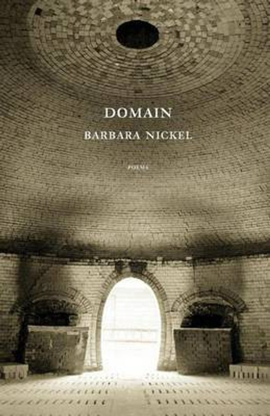 Domain(English, Paperback, Nickel Barbara)