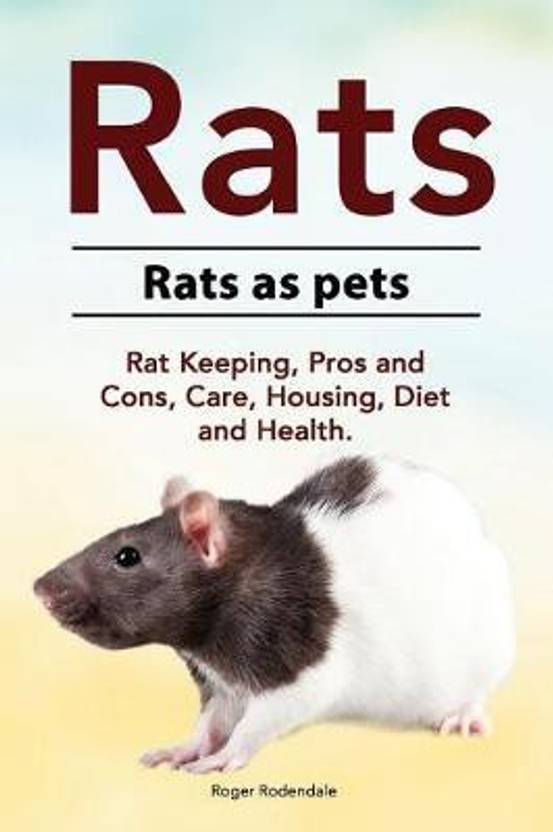 Rats. Rats as pets. Rat Keeping, Pros and Cons, Care, Housing, Diet and