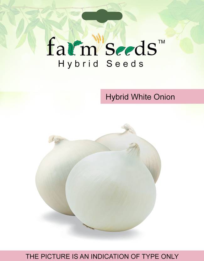 Farm Seeds White Onion Seed Price in India Buy Farm Seeds White Onion