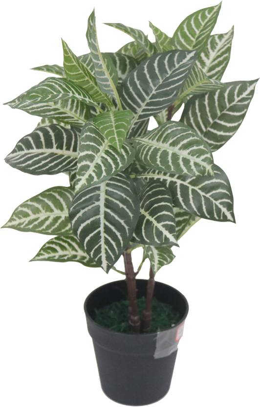 Flipkart Perfect Homes AP3 Artificial Plant with Pot Price in India