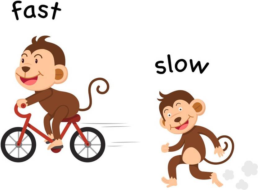 Difference Between Fast And Slow poster For Kids Paper Print difference-between-fast-metabolism-and-slow-metabolism-youtube
