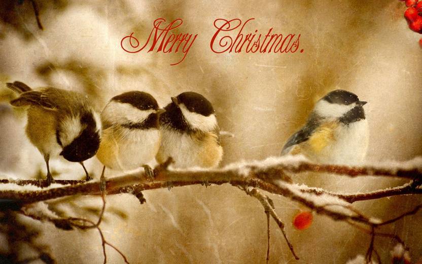 KD Merry Christmas With Some Birds Sticker Poster Christmas Poster kd-merry-christmas-with-some-birds-sticker-poster-christmas-poster