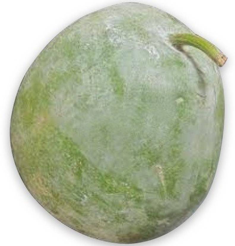 Aywal Ash Gourd (Mithai Petha) Vegetable Seed Price in India Buy Aywal Ash Gourd (Mithai Petha Aywal Ash Gourd (Mithai Petha) Vegetable Seed Price in India Buy Aywal Ash Gourd (Mithai Petha