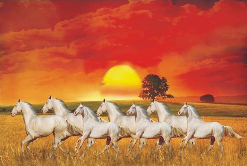 Lucky Seven Horses Running Wall Poster White Horses Poster Wall
