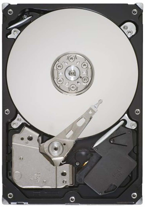 Seagate VIDEO 1 TB Desktop Black, Silver SATA Internal Hard Disk Drive (HDD) (OEM Hard Drive)(Interface: SATA, Form Factor: 3.5 inch)