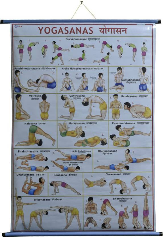 ROLLUP CHART OF YOGASAN Photographic Paper - Educational posters in ...