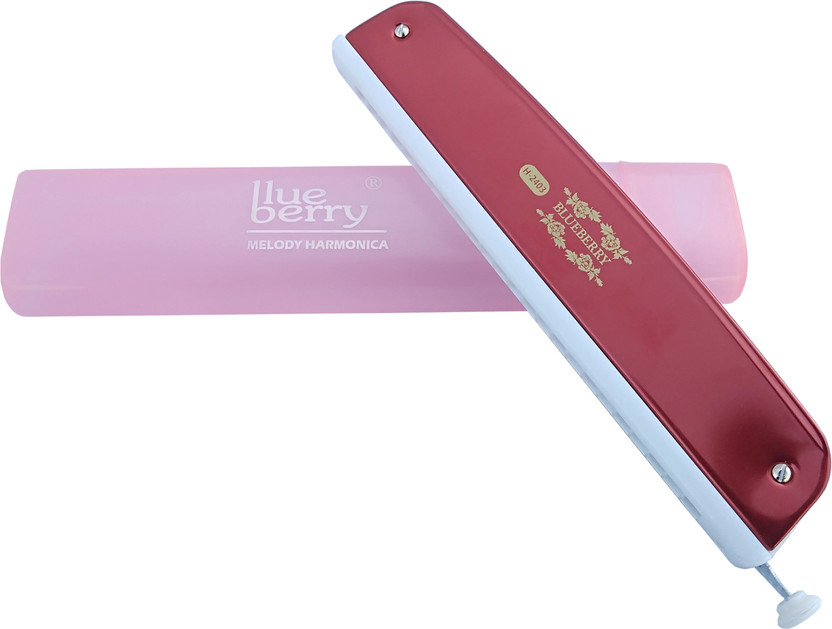 BLUEBERRY H-2403 24 Holes Key C Mouth Organ | 48 Tone | Scale Changer With Case For Professional, Beginners, Student Harmonica(Red)