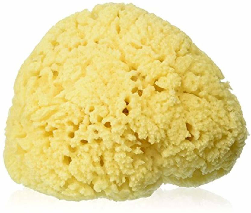 Bath Accessories Sea Sponge Price in India, Buy Bath Accessories Sea