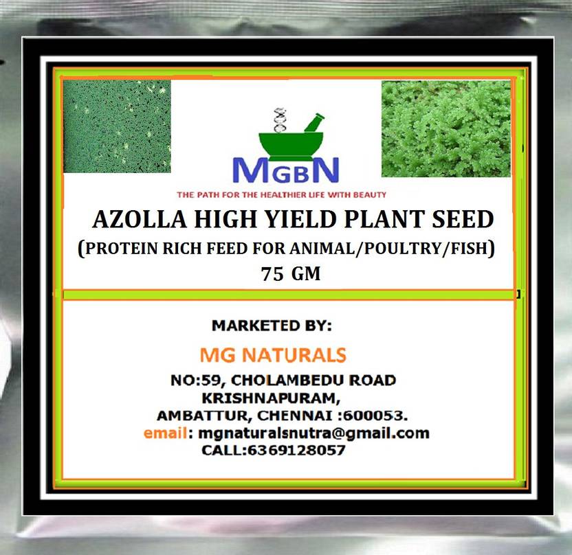 MGBN AZOLLA HIGH YIELD PLANT SEEDS (PROTEIN RICH FEED FOR ANIMAL