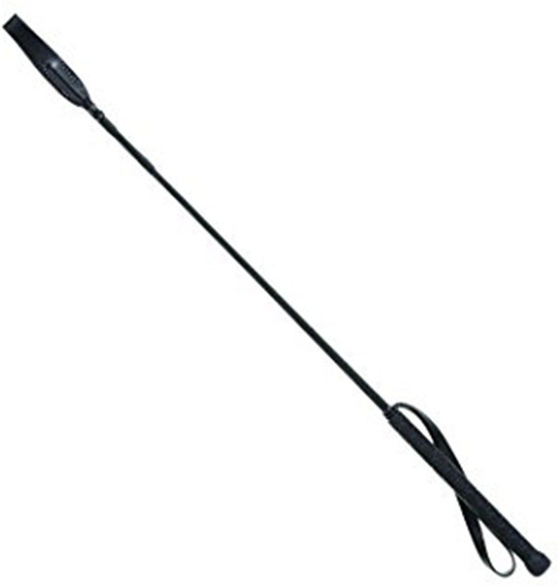Taiyo Pluss Discovery Pet Training Stick Plastic Stick For Dog