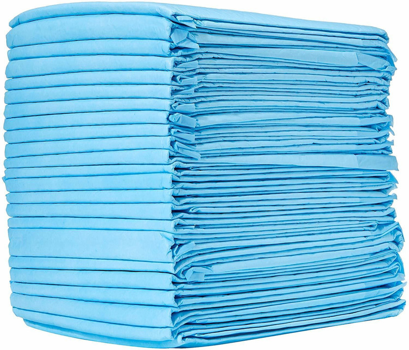 Hygiene Hub Heavy Duty Pet and Puppy Training Pads (XL, 10) Disposable Dog Diapers(Pack of 1 XL)
