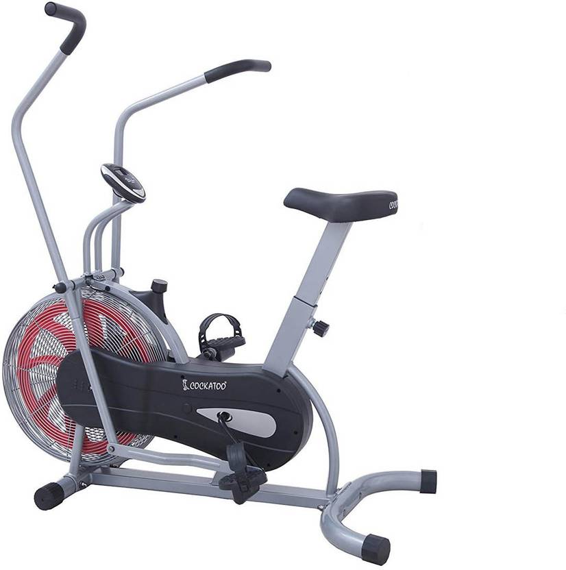11 Best Home Exercise Cycle Bikes For Home Gym Review Buying Guide Did you scroll all this way to get facts about cockatoo play gym? exercise cycle bikes for home gym