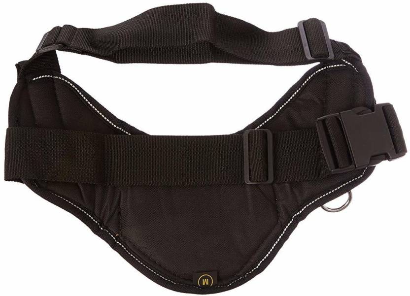 Dean & Tyler Dog Safety Harness Price in India - Buy Dean & Tyler Dog ...
