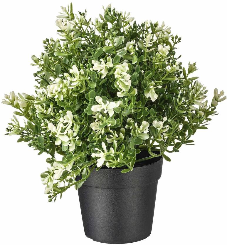 IKEA Artificial Potted Plant Thyme Artificial Plant with Pot Price in