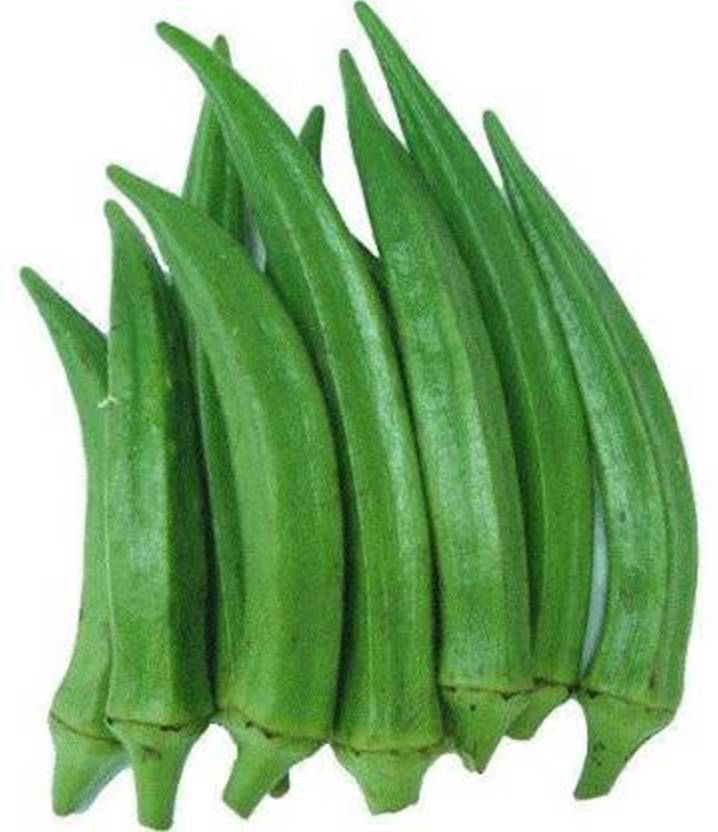 Green Garden OKRA BHINDI SEED(310 Seeds) Seed Price in India Buy