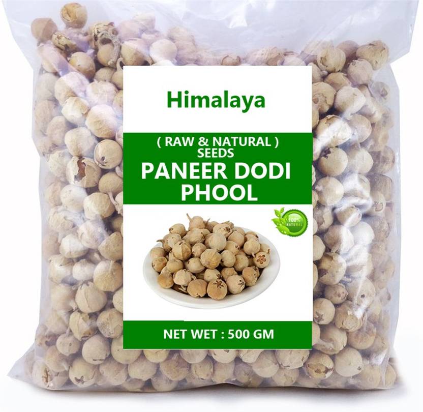 HIMALAYA NATURAL Paneer Dodi Paneer Ke Phool Indian Rennet paneer-phool-benefits-for-diabetics-paneer-ke-phool-benefits-for