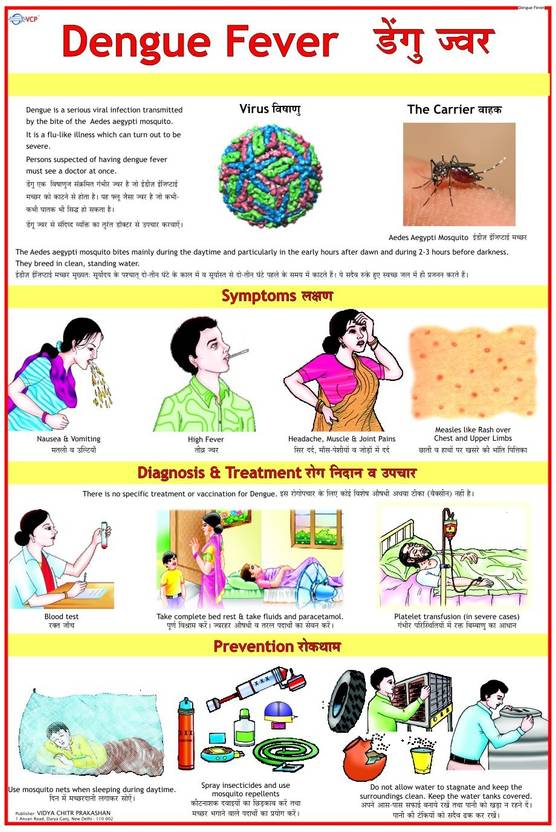 Dengue Chart Photographic Paper Educational posters in India Buy