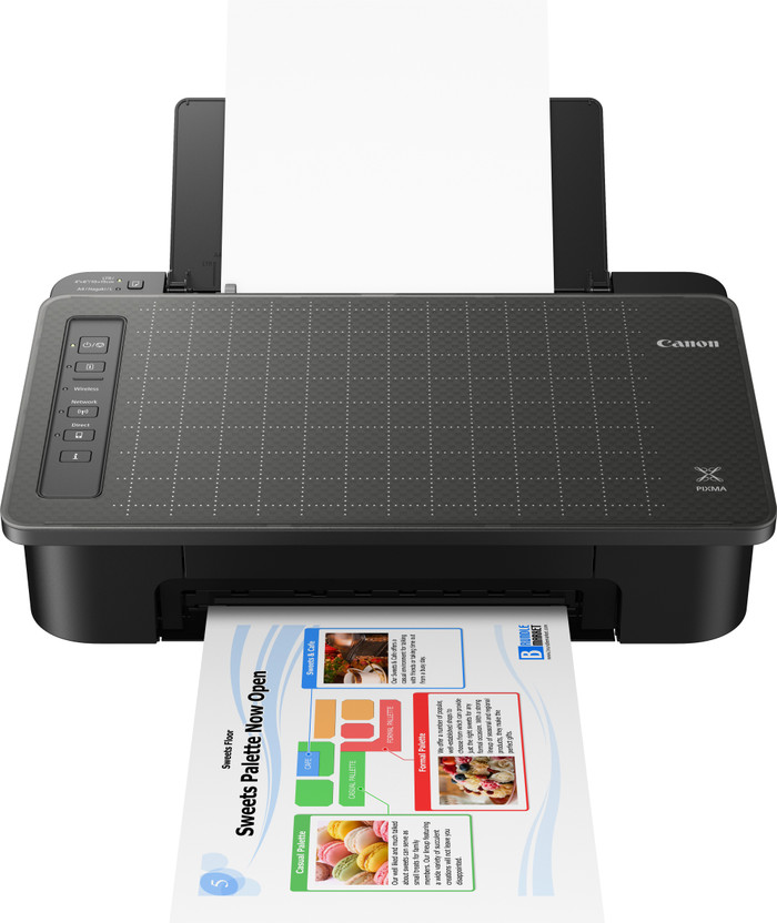 Canon PIXMA TS307, TS307A Single Function WiFi Color Inkjet Printer(Ink Cartridge)