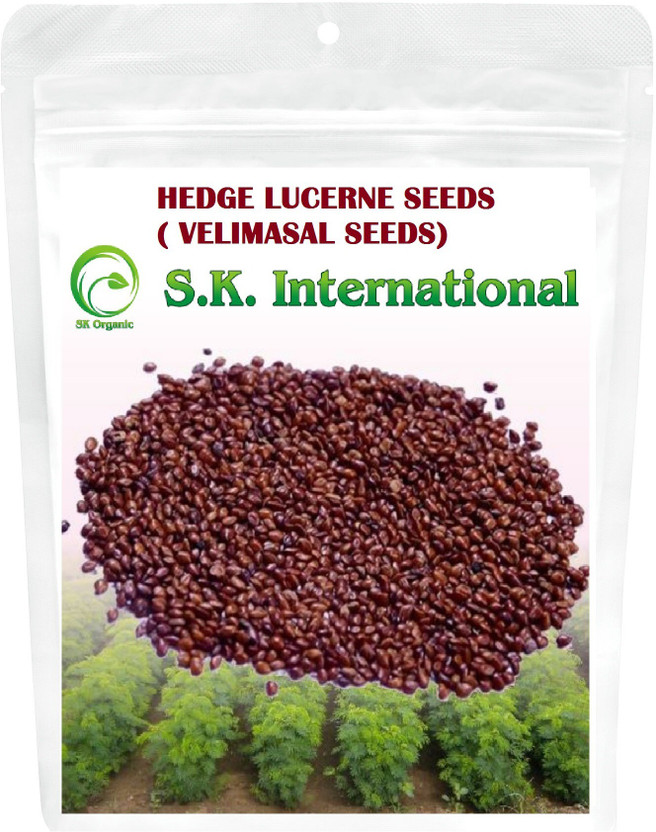 SK SK ORGANIC HEDGE LUCERNE (500 Gms) Velimasal/dasrath grass seeds Seed(10000 per packet) - Flipkart Deal