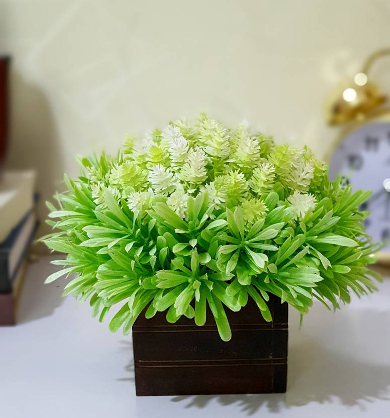 Flipkart SmartBuy Multi flower Plant with Hand Made Pot Bonsai Wild