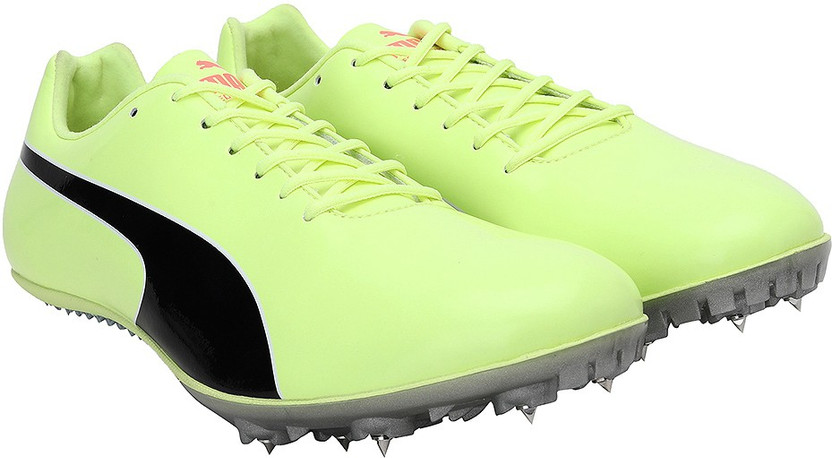 puma evospeed online