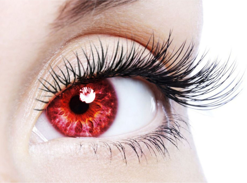 Diamond Eye Daily Disposable(0, Colored Contact Lenses, Pack of 2)