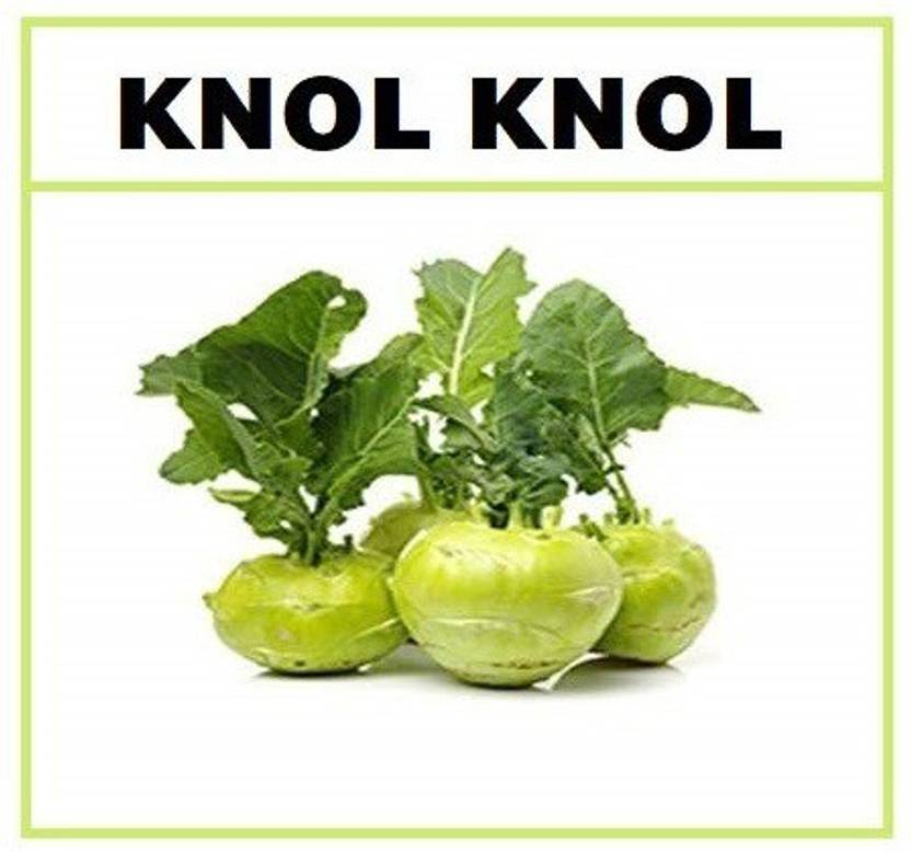 Qualtivate ® Organic Knol Khol Seeds50 Seed Seed Price in India Buy Qualtivate ® Organic Knol