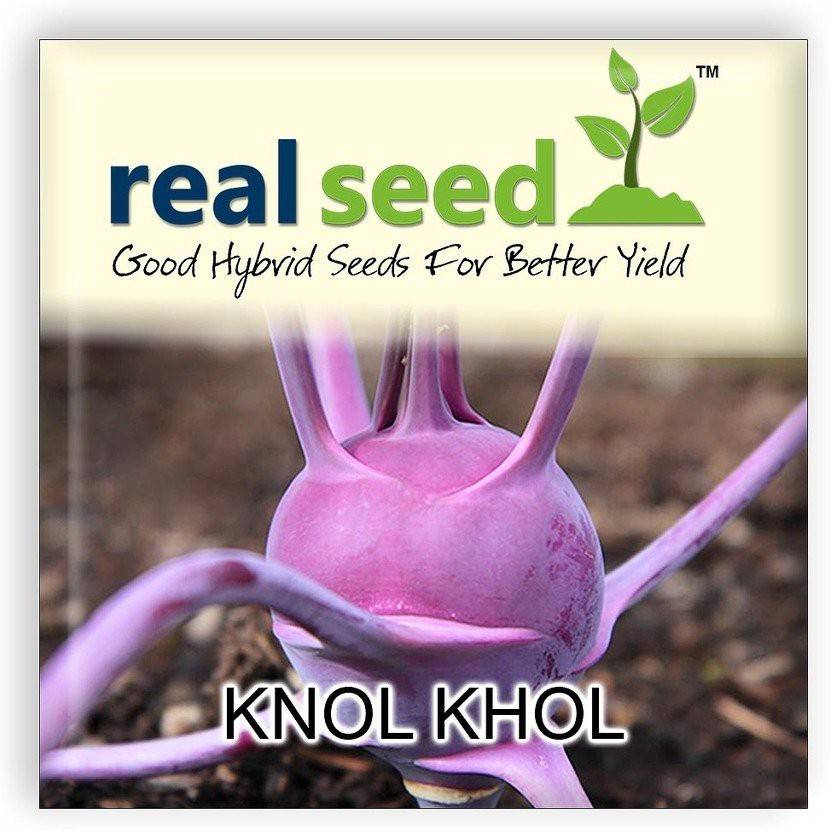 WILLVINE ™Knol Khol Hybrid Imported Vegetable Seeds Seed Price in India Buy WILLVINE ™Knol