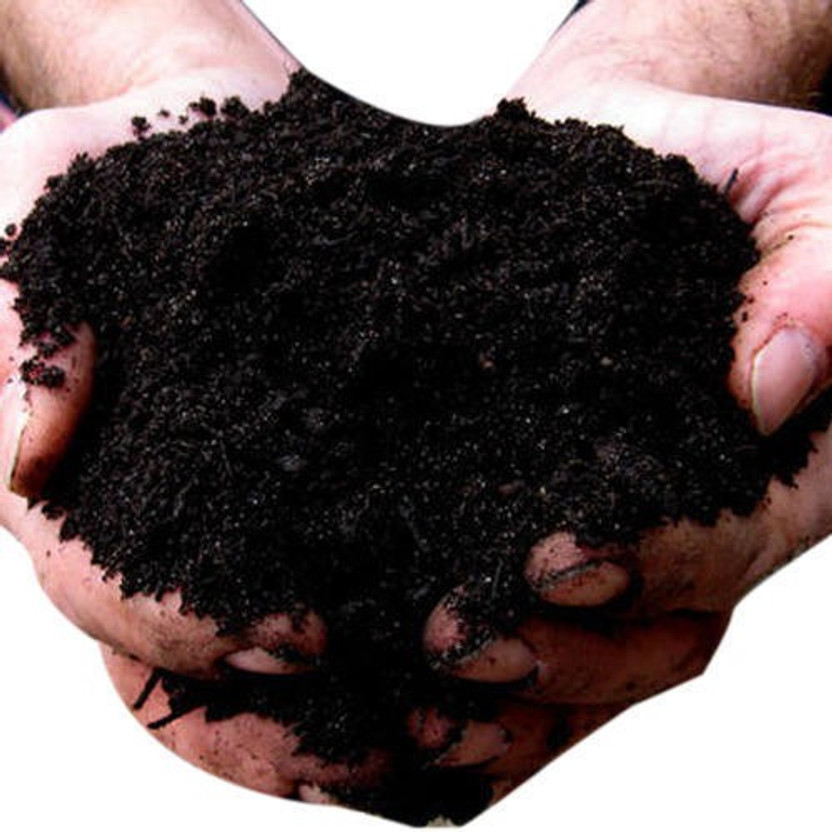 Sea Nutri Desi VERMICOMPOST /khaad ORGANIC FOR PLANTS Soil Manure(5000 g, Powder)