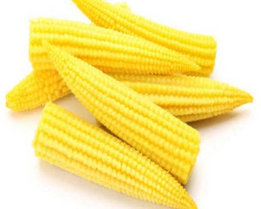 VibeX BABY CORN Seed Price in India - Buy VibeX BABY CORN ...