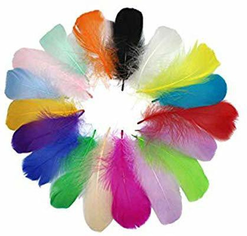 Uniqon Natural Dyed Multi-Purpose (Multicolor) Craft Feathers (Approximately 80 Pcs) For Dream Catcher Artificial Jewelry Making Art & Craftworks Decorations Diy Hobby Crafts Kids Projectworks Scrapbooking